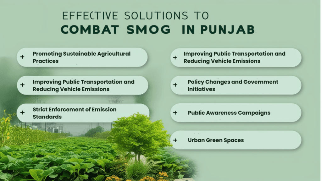 Strategies to Combat Smog in Punjab, Pakistan: Sustainable farming, cleaner transport, green spaces, and stricter emission controls.